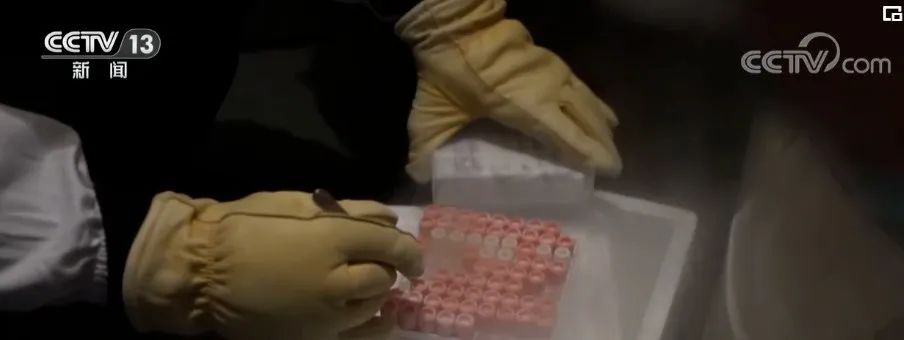 宝运莱·(中国区)官方网站