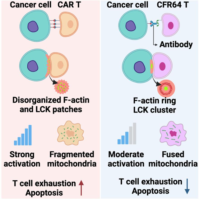 宝运莱·(中国区)官方网站