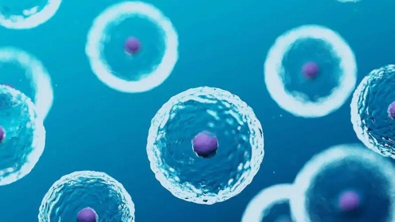 宝运莱·(中国区)官方网站