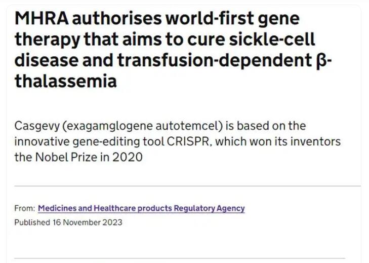 宝运莱·(中国区)官方网站