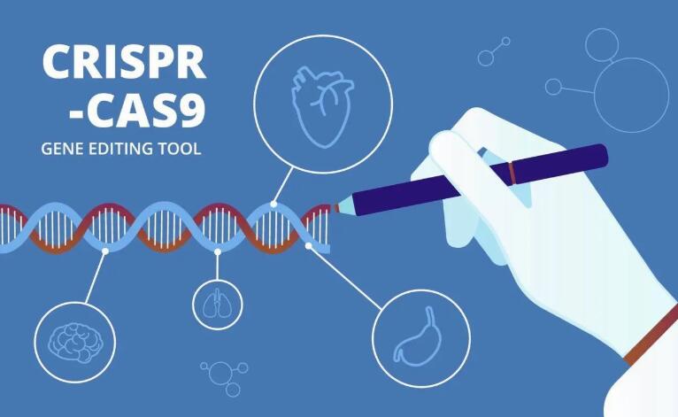 宝运莱·(中国区)官方网站