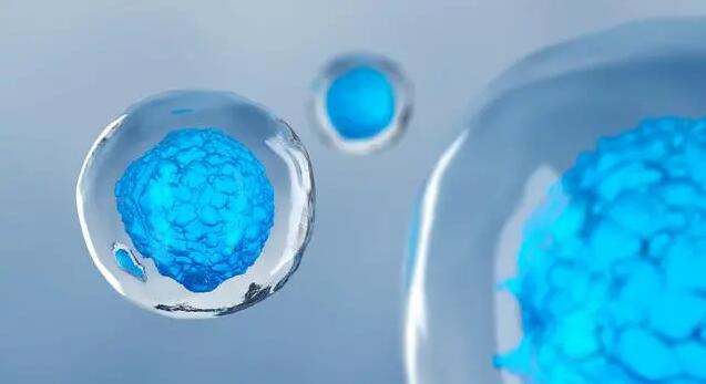 宝运莱·(中国区)官方网站