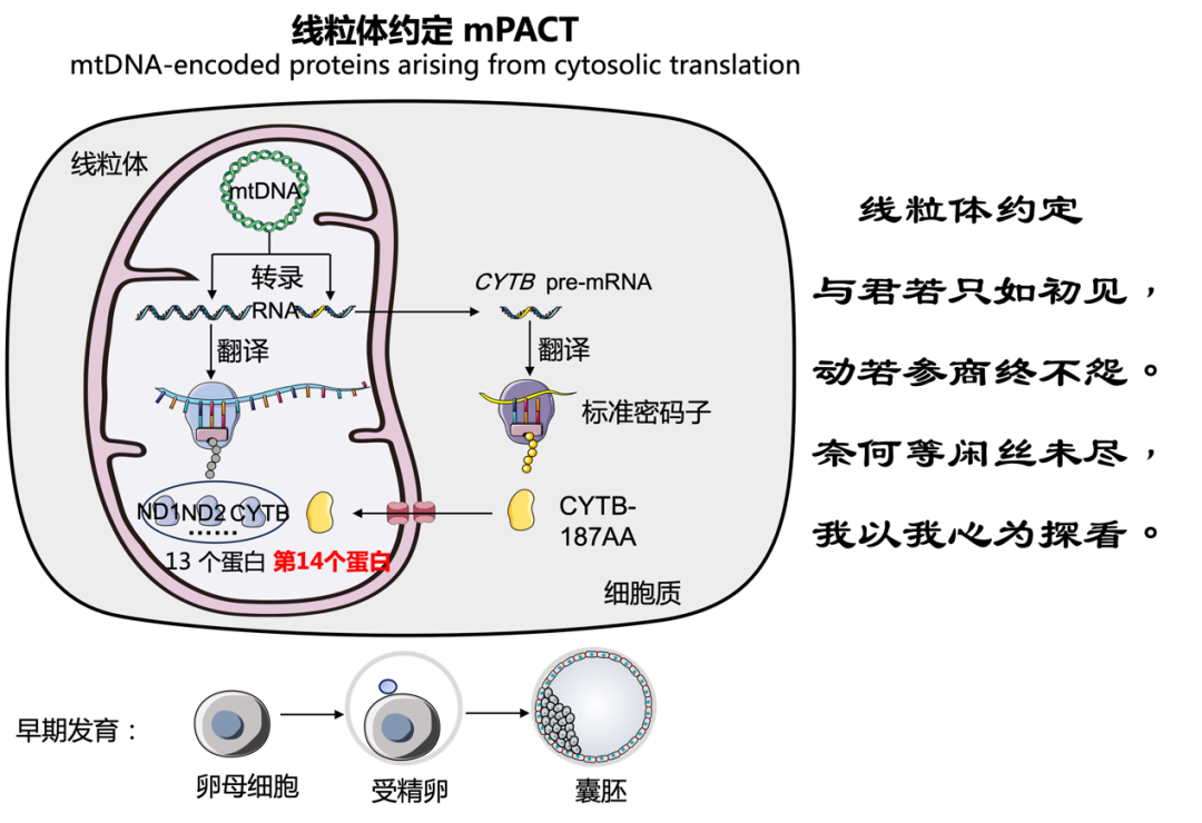 宝运莱·(中国区)官方网站