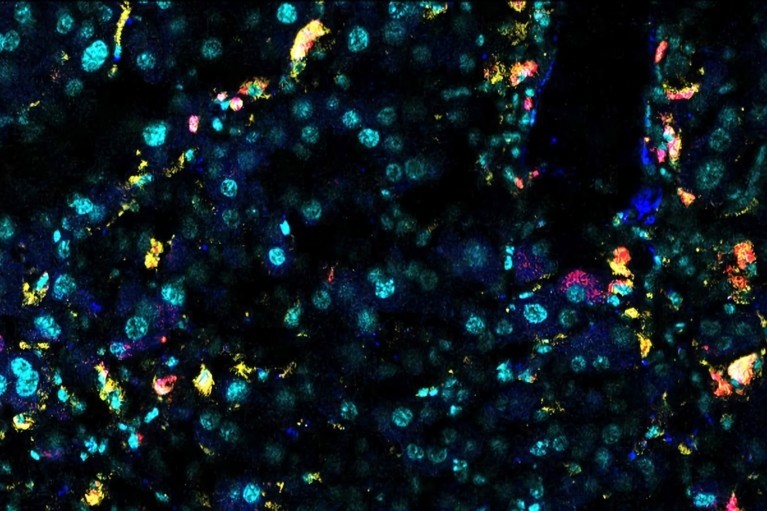 宝运莱·(中国区)官方网站