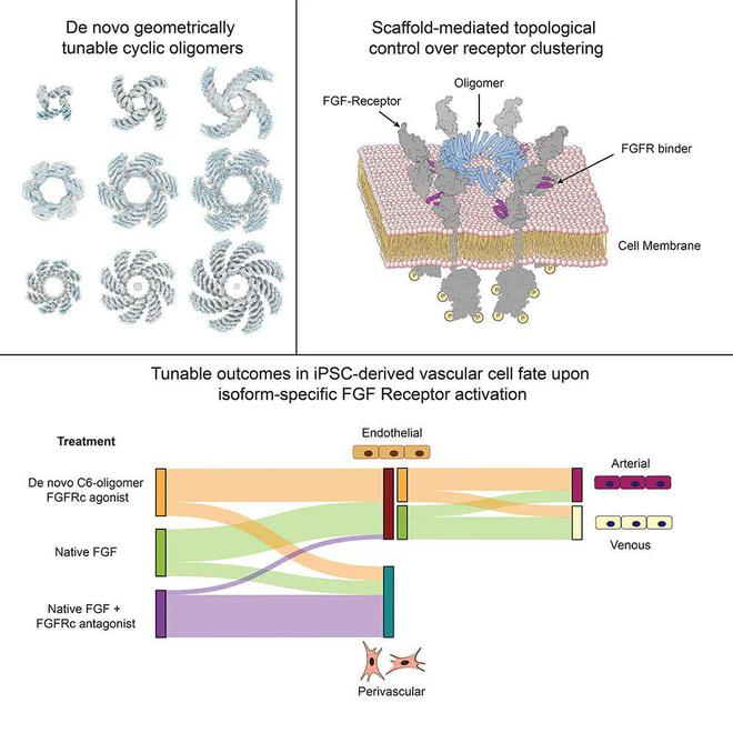 宝运莱·(中国区)官方网站