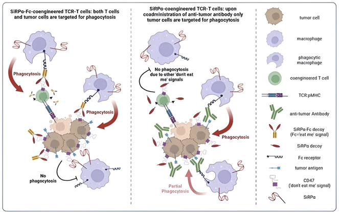 宝运莱·(中国区)官方网站