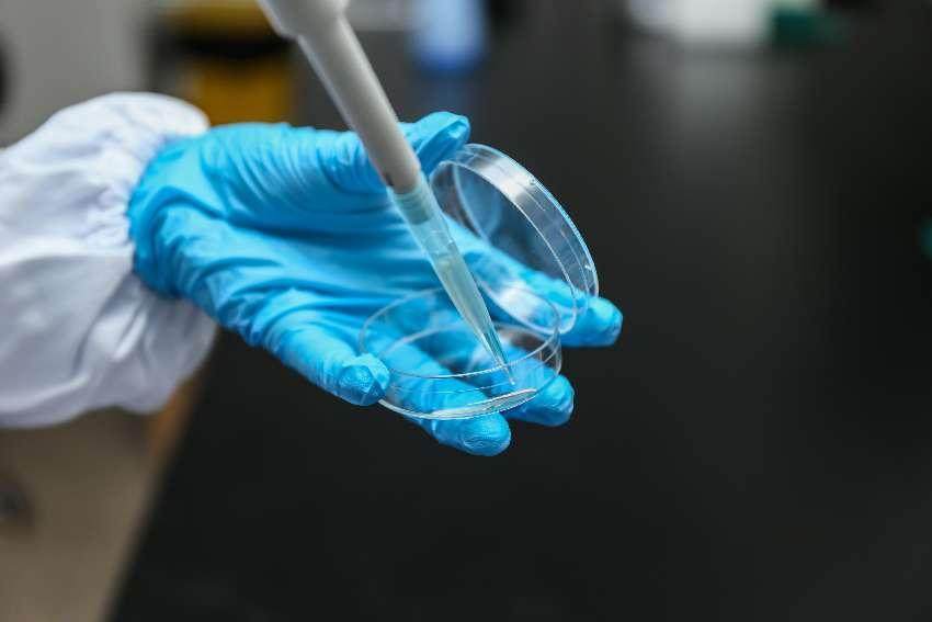 宝运莱·(中国区)官方网站