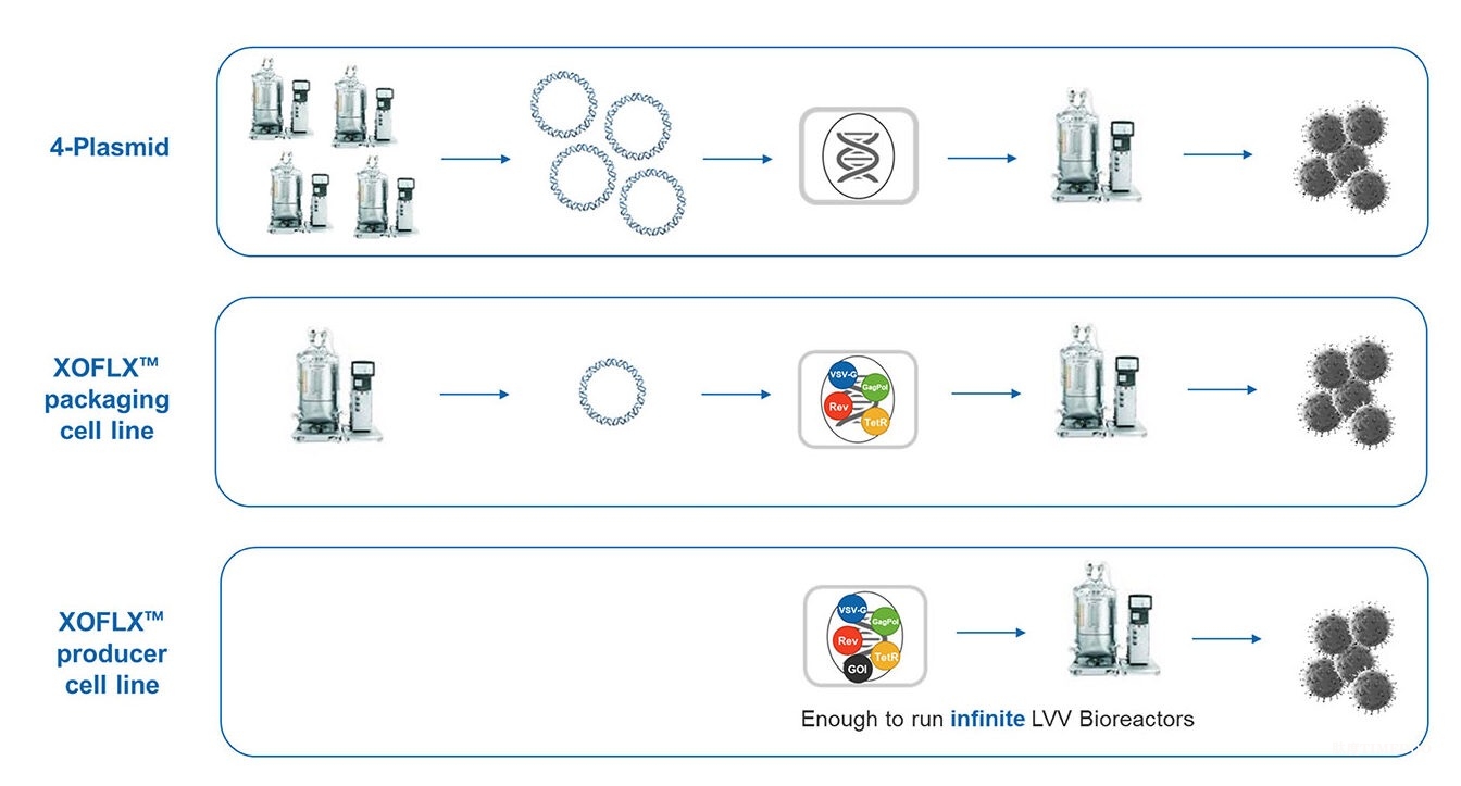 宝运莱·(中国区)官方网站