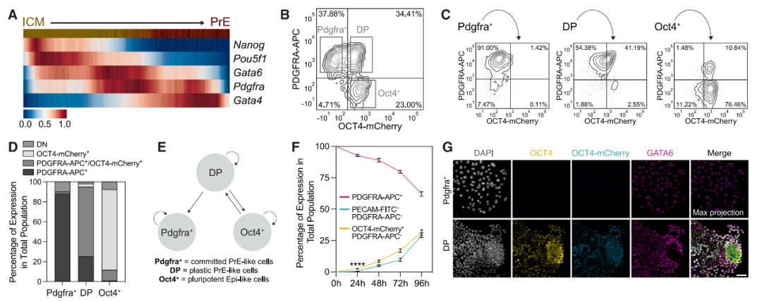 宝运莱·(中国区)官方网站