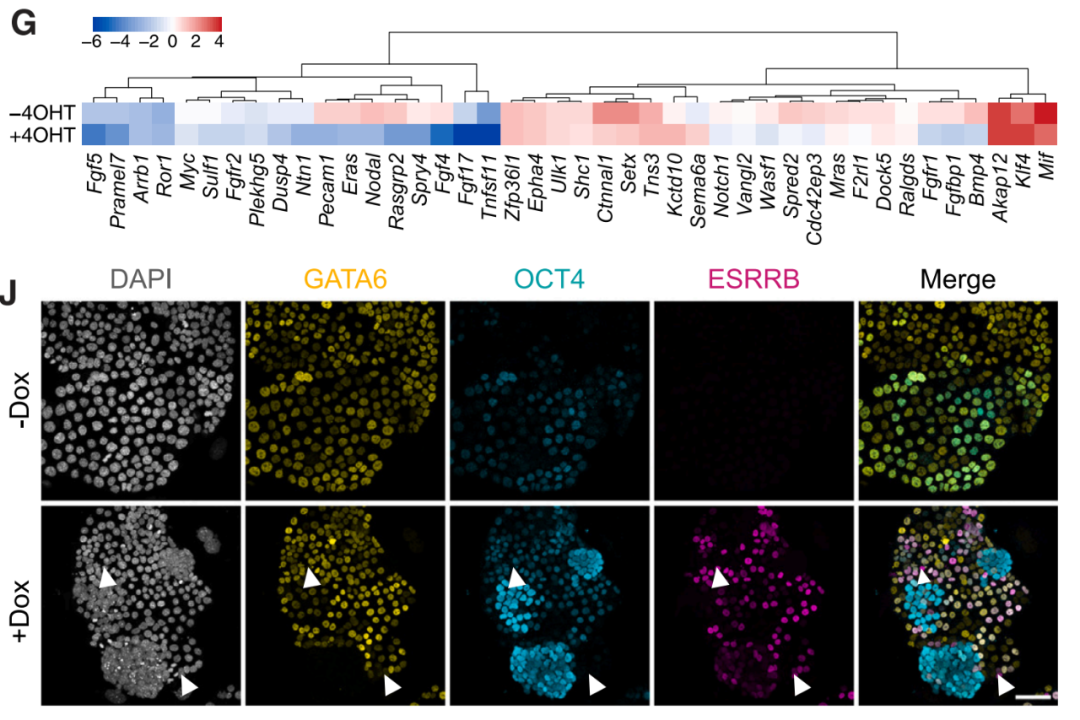宝运莱·(中国区)官方网站