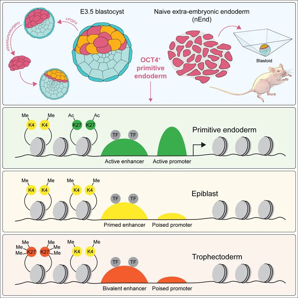 宝运莱·(中国区)官方网站