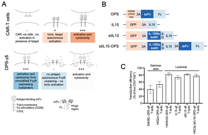 宝运莱·(中国区)官方网站