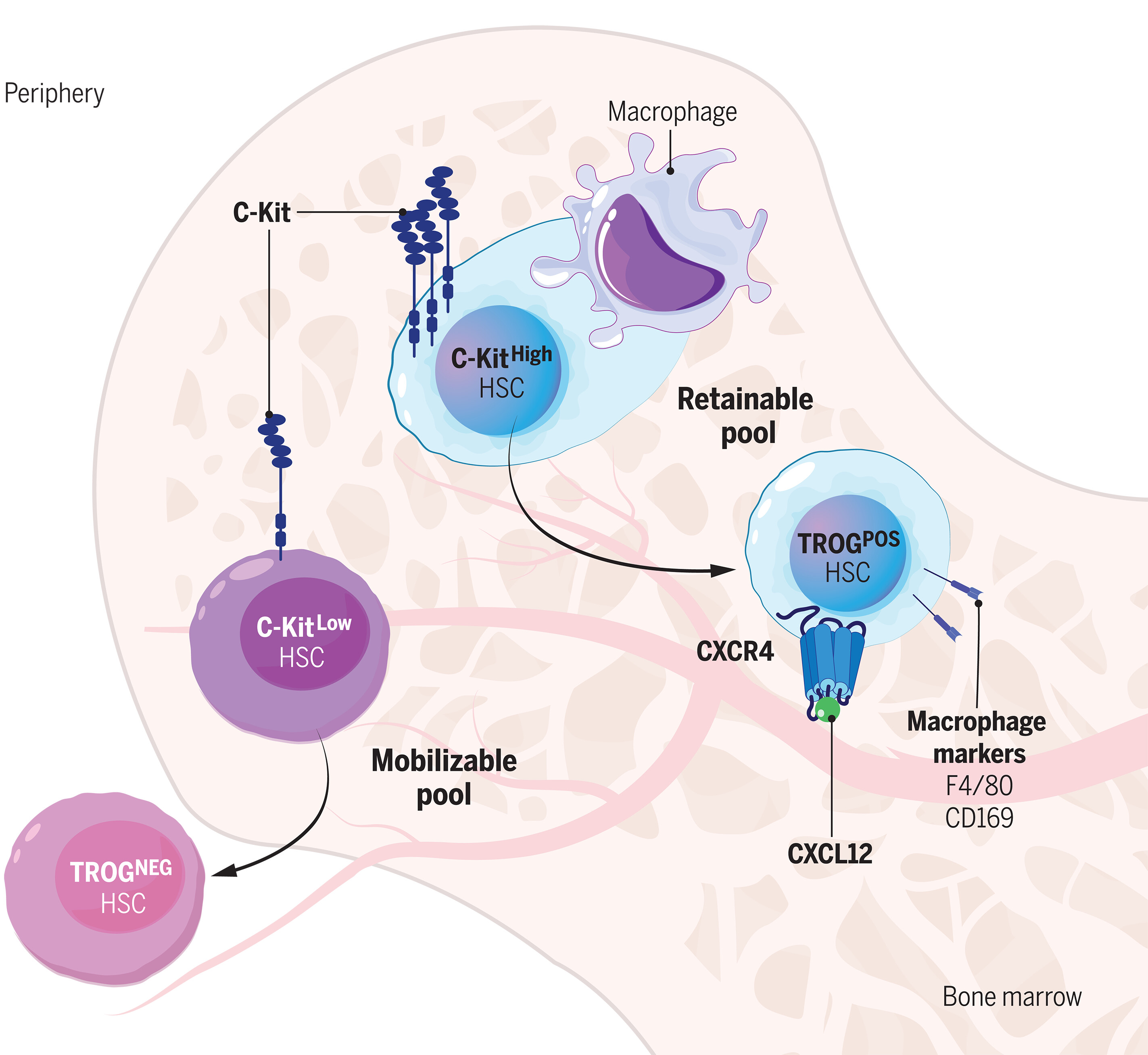宝运莱·(中国区)官方网站