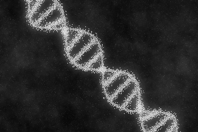 宝运莱·(中国区)官方网站