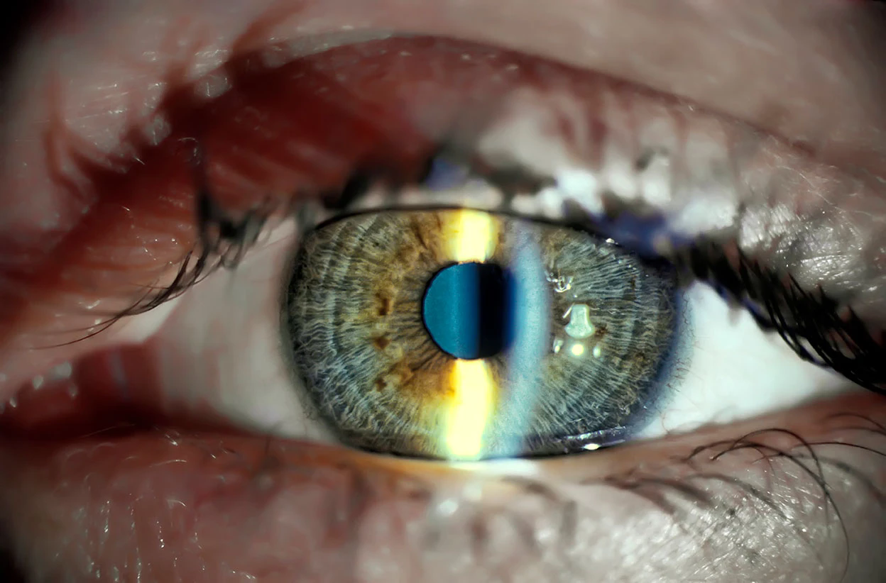 宝运莱·(中国区)官方网站