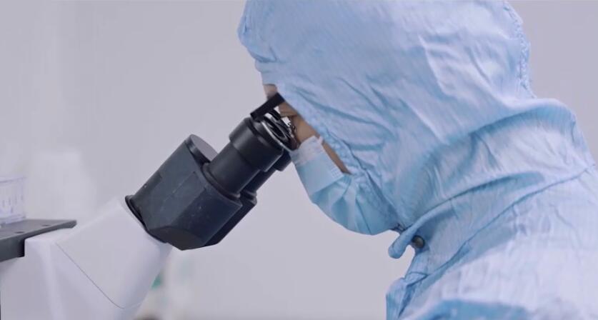 宝运莱·(中国区)官方网站